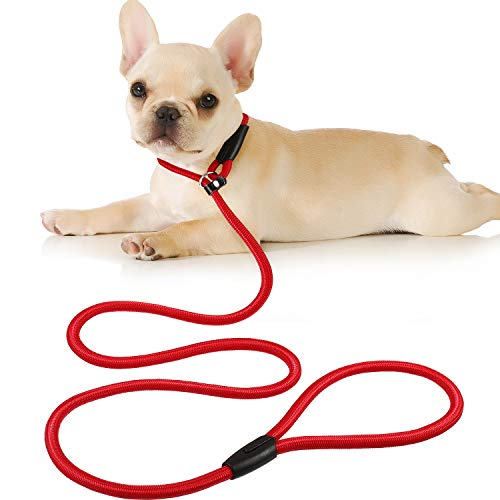 CORREA PARA PERRO KENNEL LEASH 