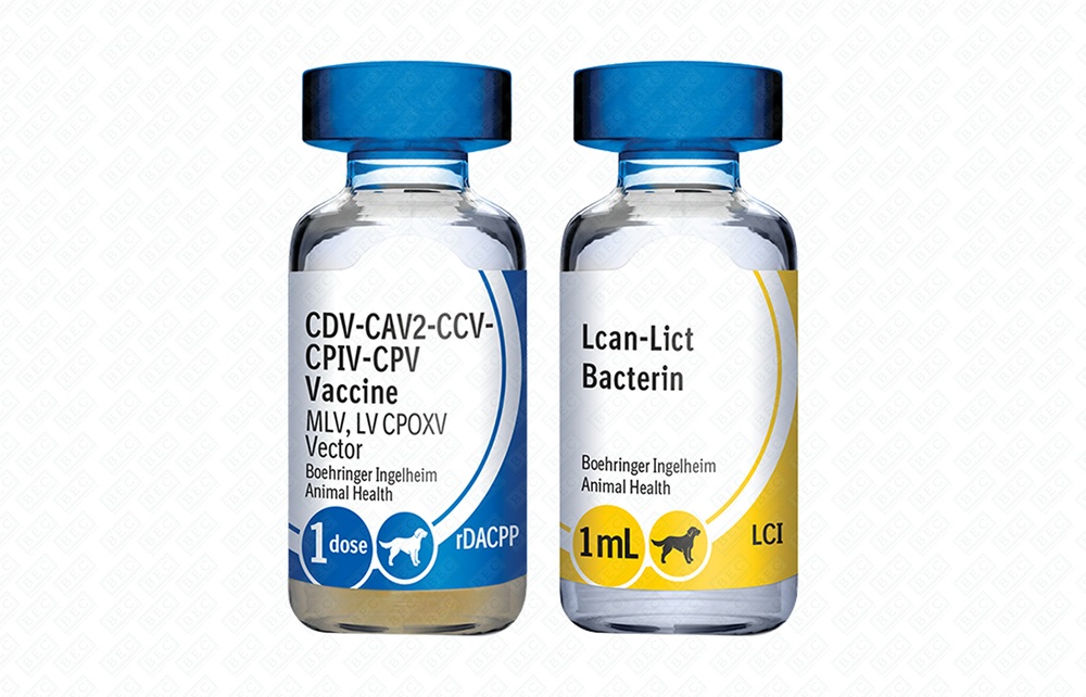 VACUNA SEXTUPLE PARA PERRO RECOMBITEK C6