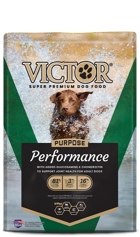 CONCENTRADO PARA PERRO VICTOR PERFORMANCE 30 LIBRAS