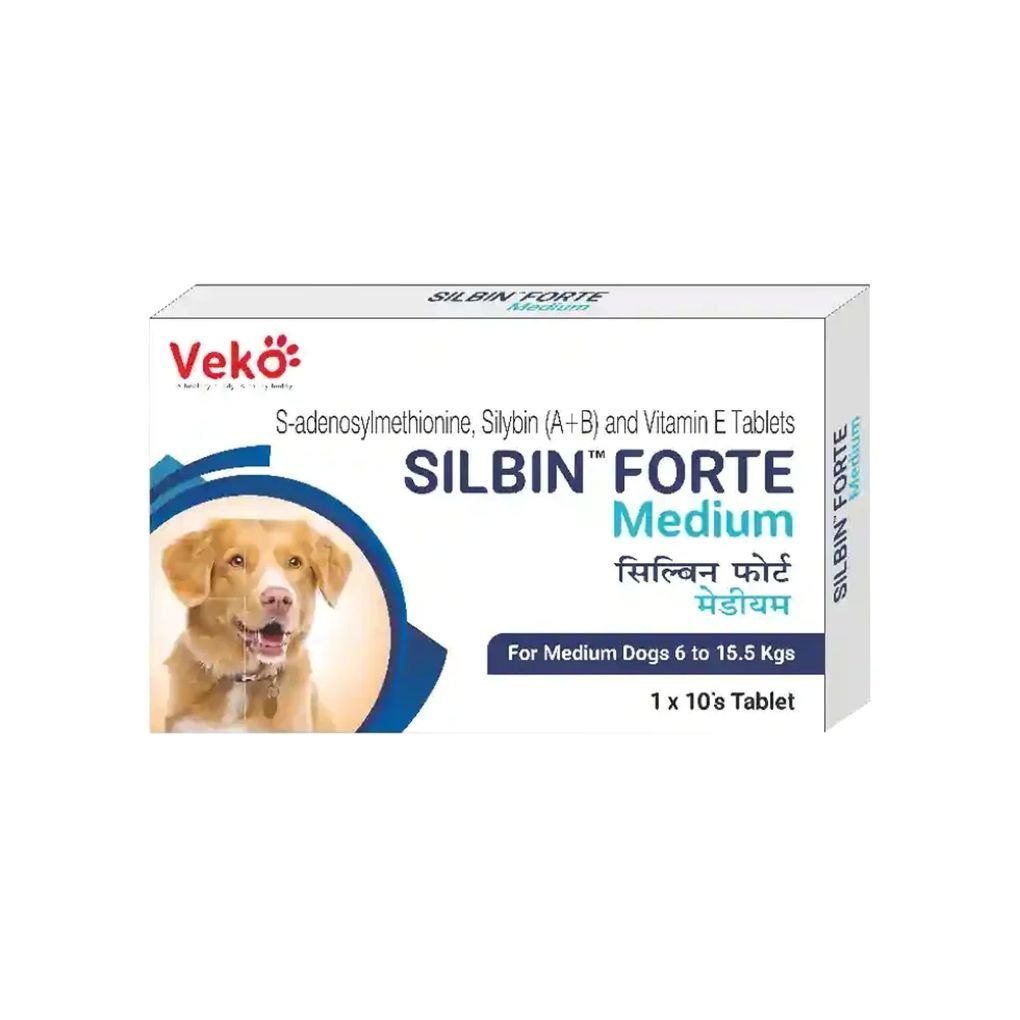 HEPATO PROTECTOR SILBIN FORTE M x 10 TABS