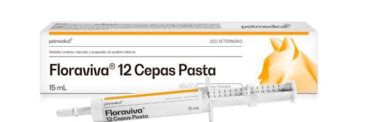 PROBIOTICOS FLORAVIVA 12 CEPAS PASTA x 15 ML