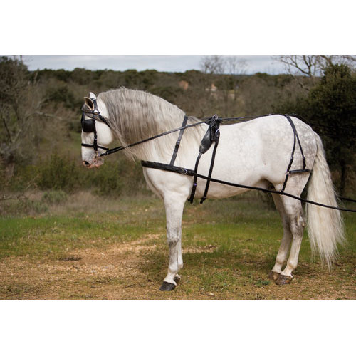 ENGANCHE LEXHIS KIEL PECHERIN SENCILLO NEGRO FULL
