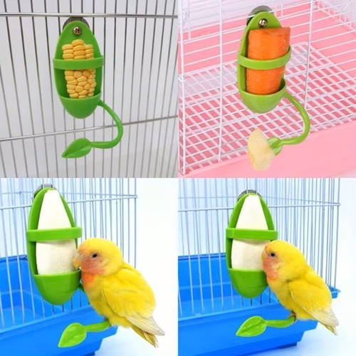 COMEDERO PARA AVES PARA FRUTAS O HUESO DE JIBIA