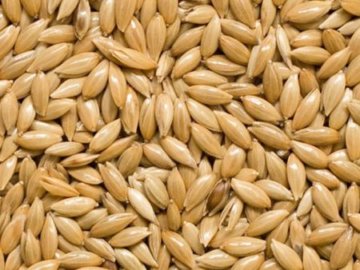 ALPISTE SIMPLE 5 LIBRAS