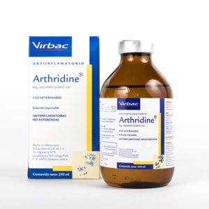 ARTHRIDINE FENILBUTASONA 100 ML