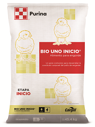 BIO UNO INICIO QUINTAL