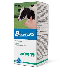 BIOCEF LPU 100ML