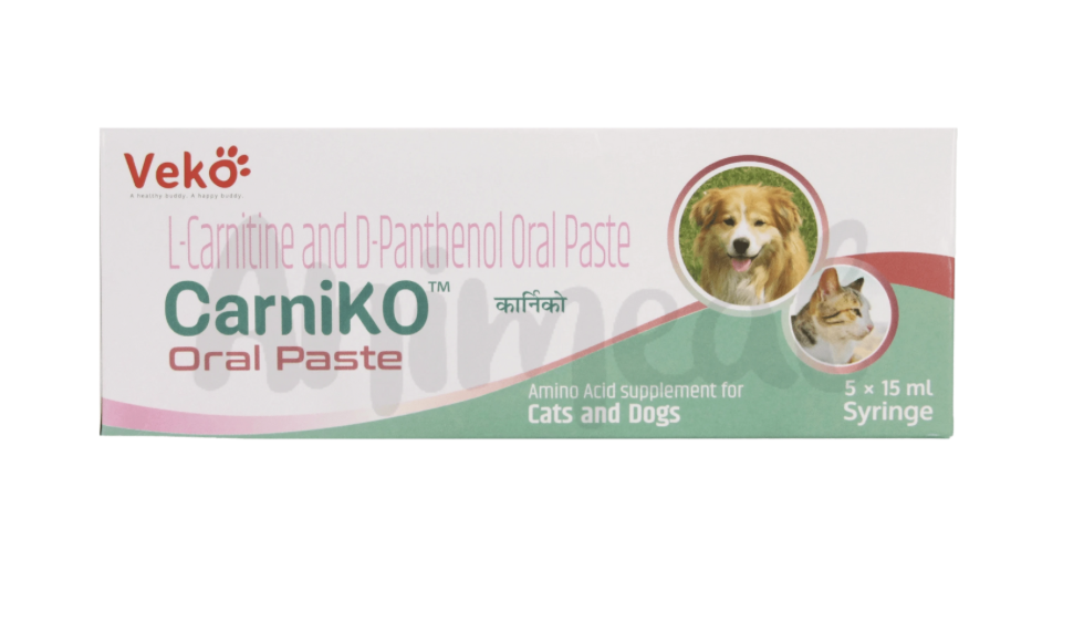 CARNIKO PASTA ORAL 15 ML