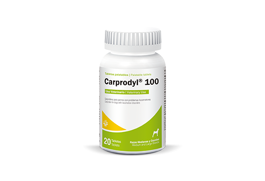 CARPRODYL 100 MG 1 TABLETA