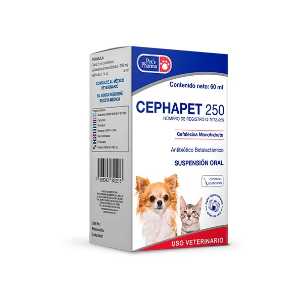 CEPHAPET 250 60 ML