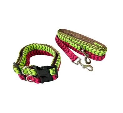 COLLAR Y CORREA PARA PERRO MEDIANO 1.9CM  MASCO PETS