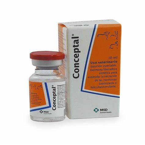 CONCEPTAL 10 ML