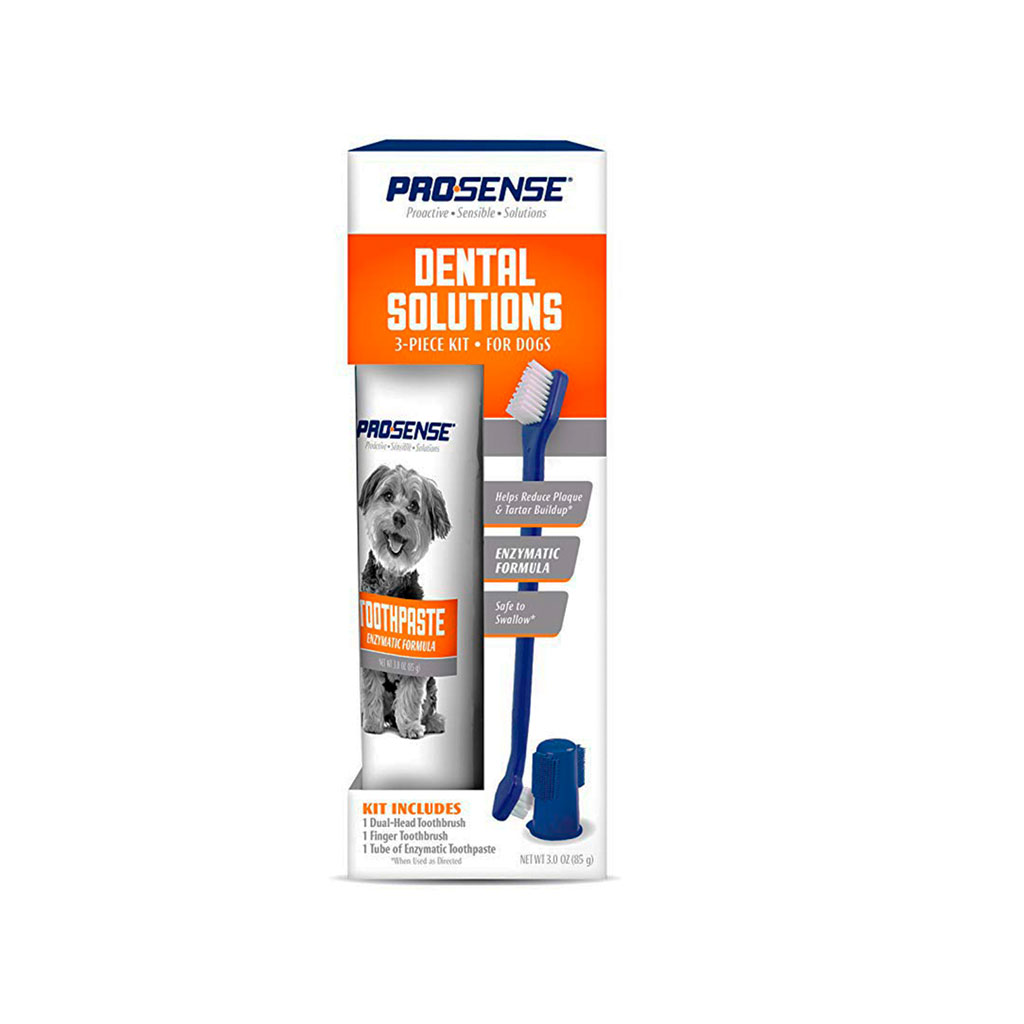 DENTAL SOLUTIONS TOOTHPASTE KIT PROSENSE