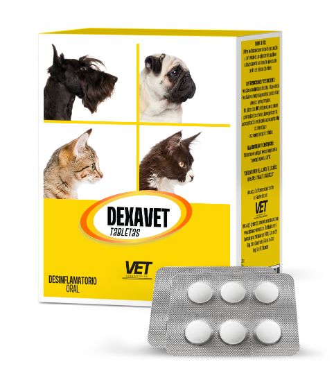 DEXAVET-BLISTER 6 TABLETAS