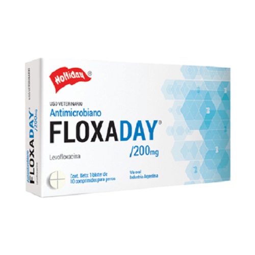 FLOXADAY 200 MG 10 COMPRIMIDOS