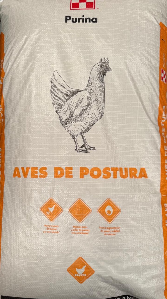 FORTALINA CHK QUINTAL