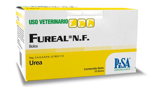 FUREAL BOLOS N.F. 1 UNIDAD