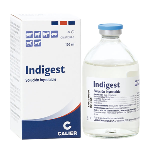 INDIGEST CALIER 100 ML