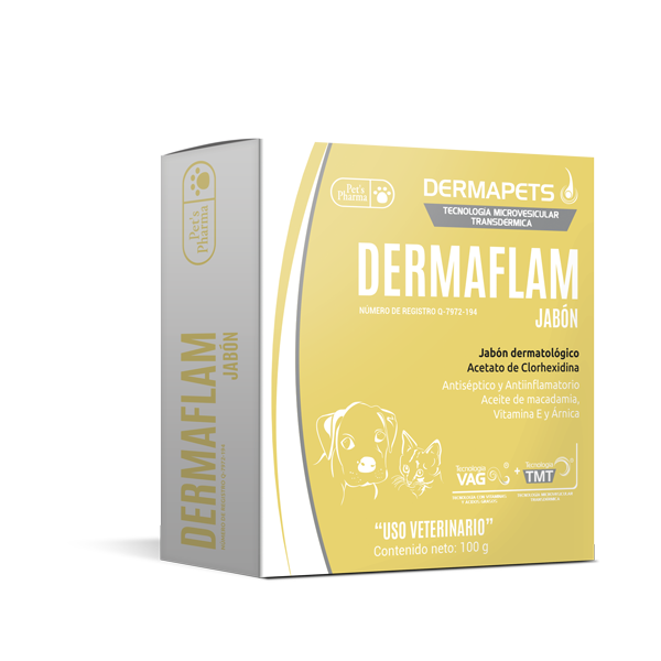 JABON DERMAFLAM-100G