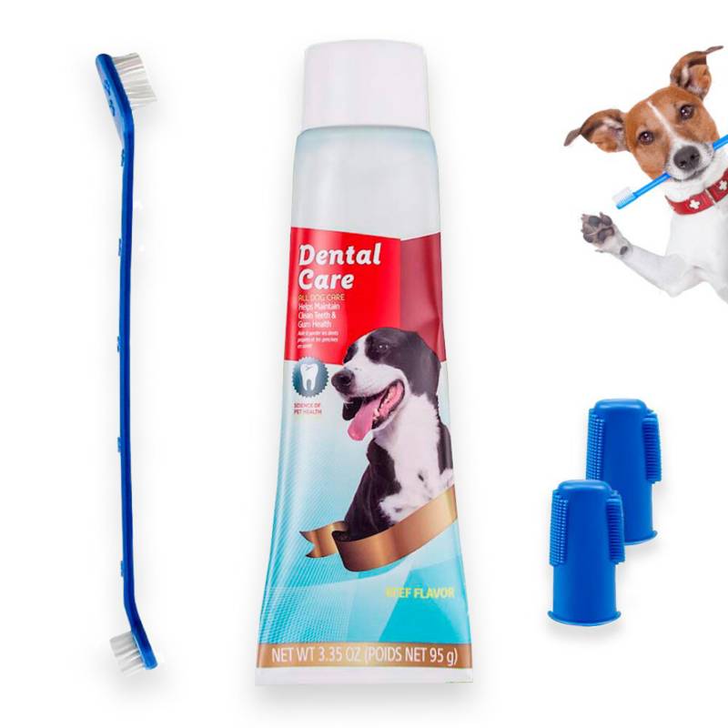 KIT DE CEPILLO Y PASTA DENTAL PARA PERROS