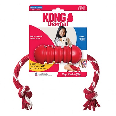 KONG DENTAL W/ROPE MD