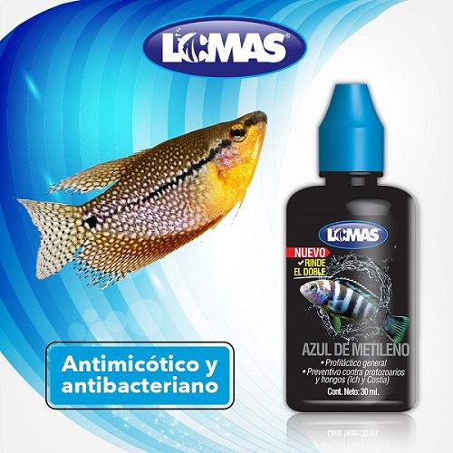 LOMAS AZUL DE METILENO 30 ML