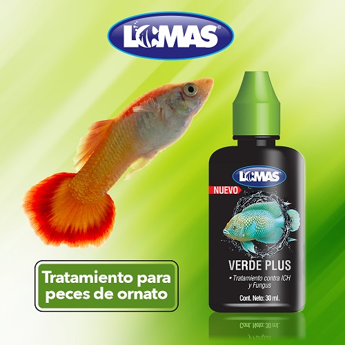 LOMAS VERDE DE MALAQUITA 30 ML