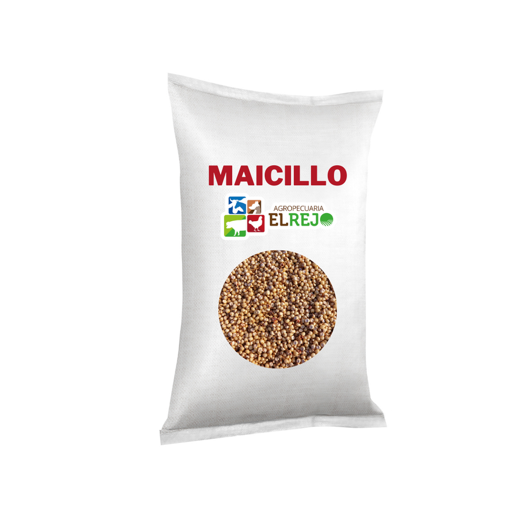 MAICILLO-QUINTAL