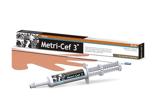 METRI-CEF 3 SUSPENSION INTRAUTERINA 30ML