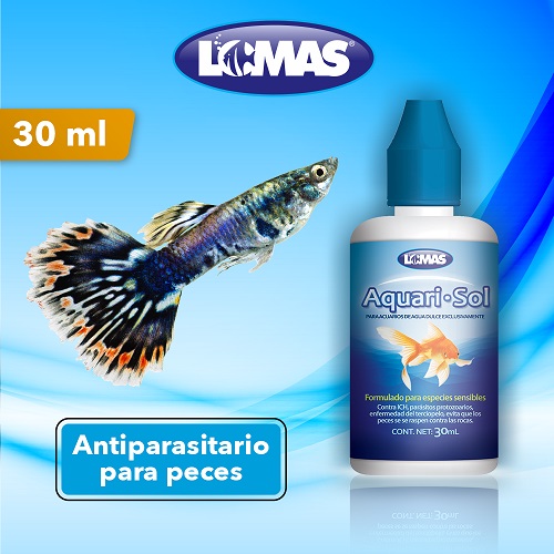 LOMAS AQUARI-SOL 30 ML