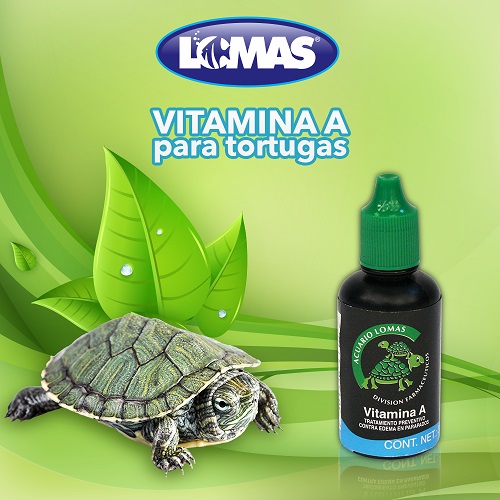 LOMAS VITAMINA A 30 ML