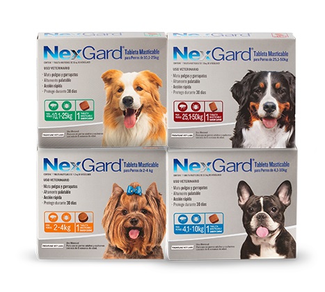 TABLETA MASTICABLE ANTIPULGAS NEXGARD PARA PERRO 