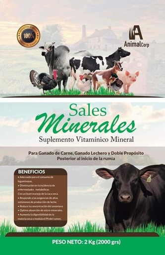 SALES MINERALES ANIMAL CORP 2 KG