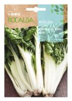 SEMILLA ACELGA VERDE DE PENCA ROCALBA 10 GR