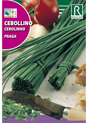 SEMILLA CEBOLLINO ROCALBA 2GR