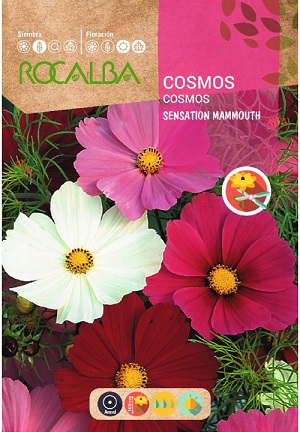 [FNFG7185] SEMILLA COSMOS ROCALBA 10G