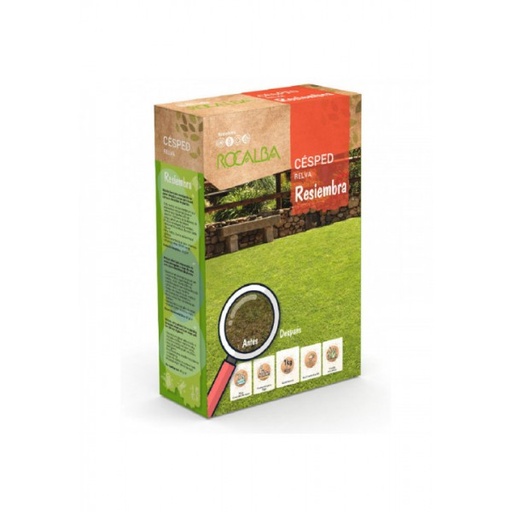 SEMILLA DE GRAMA RESIEMBRA ROCALBA 1KG