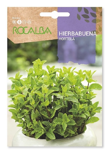 SEMILLA HIERBABUENA ROCALBA 2 GR