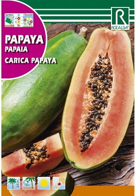 SEMILLA PAPAYA CARICA ROCALBA