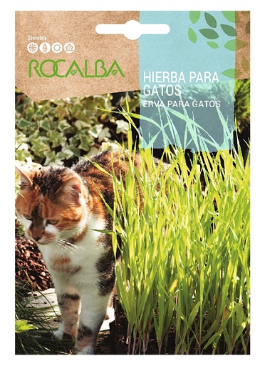 SEMILLA HIERBA PARA GATOS ROCALBA 10 GRS