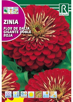 SEMILLA ZINIA