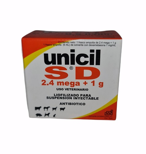 UNICIL SD 2.4 MEGA +1G