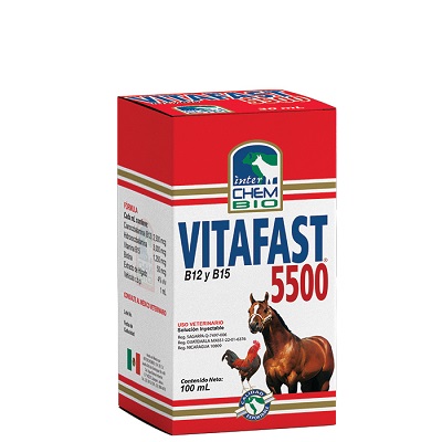 VITAFAST 5500