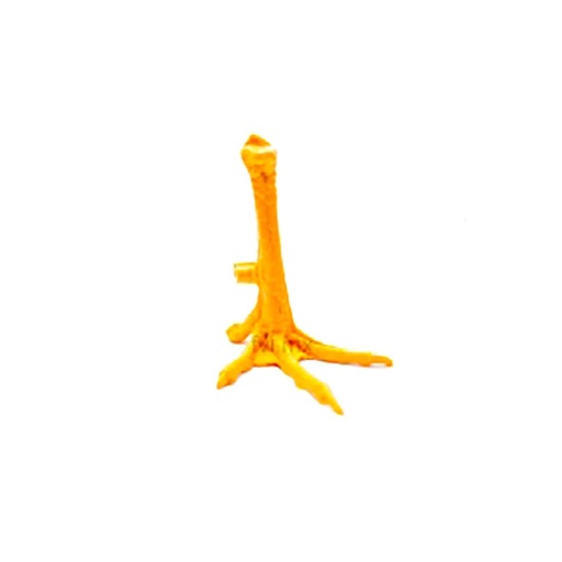 [PATAG] PATA DE GALLO PLASTICA