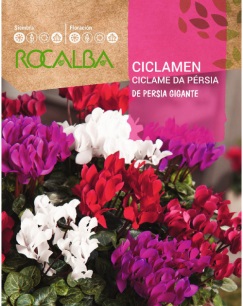 SEMILLA CICLAMEN ROCALBA 1 GRS
