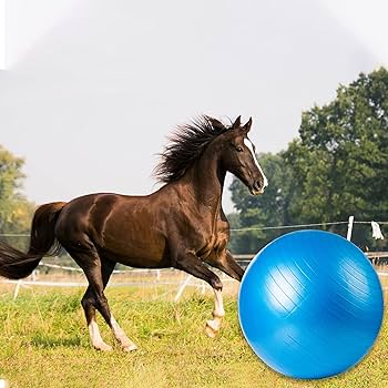 [29168225] PELOTA PARA CABALLO 40"