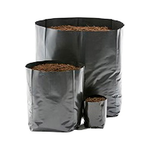 BOLSA DE ALMACIGO MILLAR