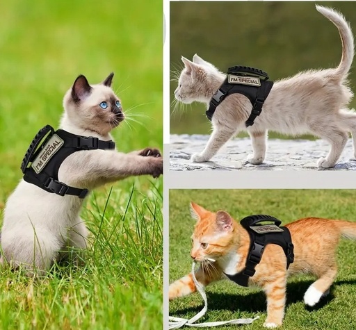 ARNES PARA GATO TACTICO