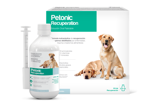 [4233] PETONIC RECUPERATION x 110 ML