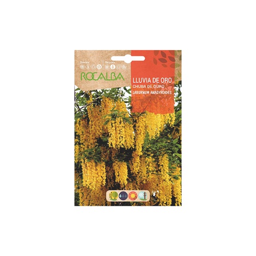 SEMILLA LLUVIA DE ORO ROCALBA 1 GR